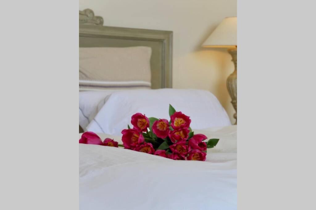 Bord De Mer - Ac, Wifi, Chic, Sea View, Beach 2 Minutes Walk 앙티브 외부 사진